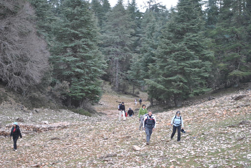 Tamanoucht Hotell Ifrane  Eksteriør bilde